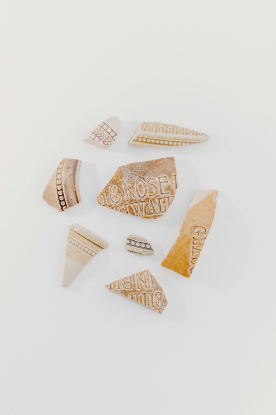 西藏展开“马术+禁毒”宣扬活动